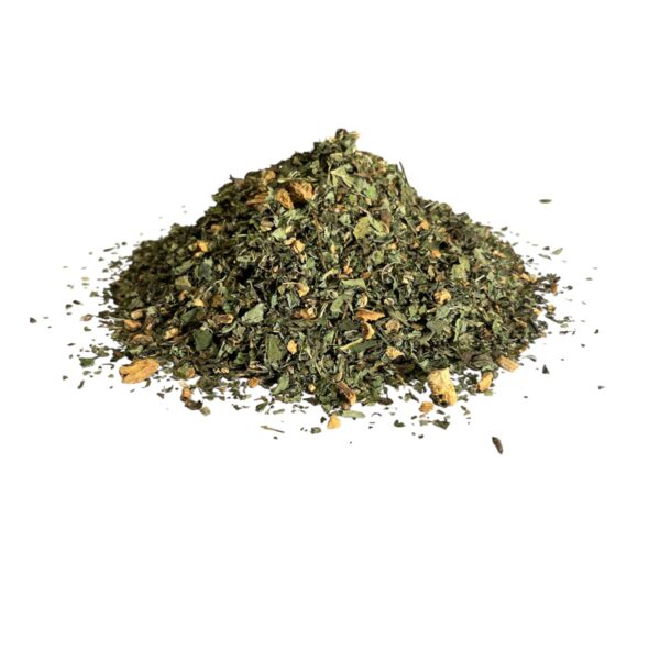 MagenRitter